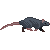 rat1